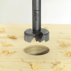 LUX Forstner-Bohrer 10 Mm -Heimwerkzeuge Geschäft 415316 picture1